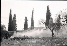 Imágenes de Sevilla – Foto 12
