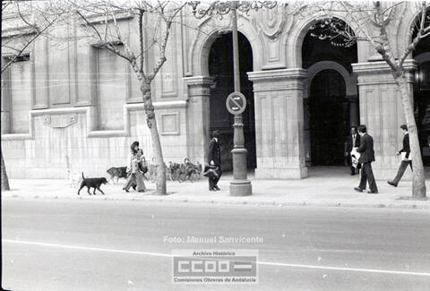 Open original Document numérique