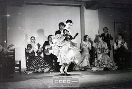 Espectaculo flamenco – Foto 19