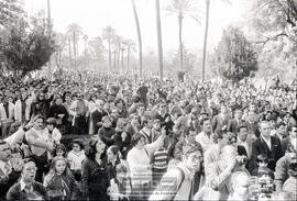 Entrega de banderas de Andalucía de los ayuntamientos (2) – Foto 39