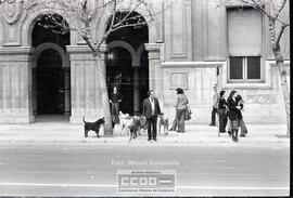 Perros callejeros – Foto 6