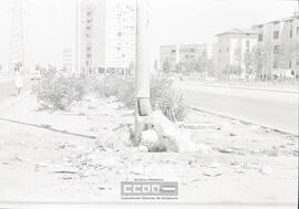 Concentración de vecinos – Foto 16