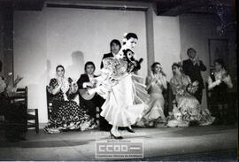 Espectaculo flamenco – Foto 18