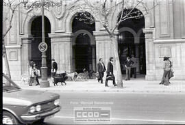 Perros callejeros – Foto 3