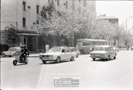 Celebración en Sevilla por la legalización del PCE – Foto 27