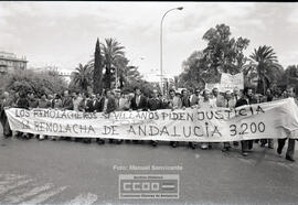Manifestación remolacheros – Foto 9