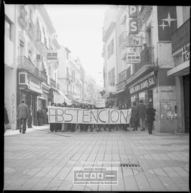 Referéndum Reforma Política: manifestación pro Abstención – Foto 5