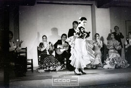 Espectaculo flamenco – Foto 8
