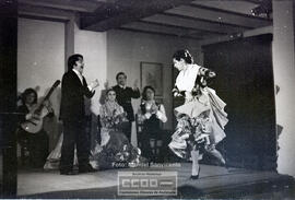 Espectaculo flamenco – Foto 7